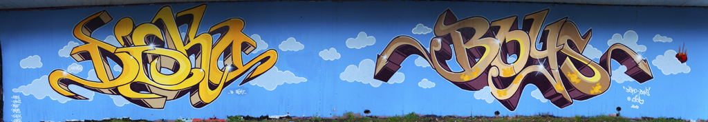 2010 07 Disko Boys1024